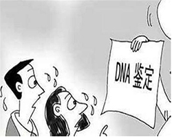 六盘水落户DNA亲子鉴定如何做